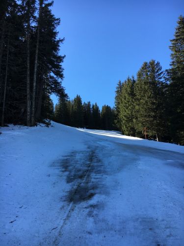 1. Februar 2016
