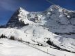 20160201-wengen-1827.jpg