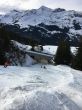 20160202-wengen-1886.jpg