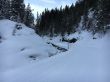 20160206-wengen-1977.jpg
