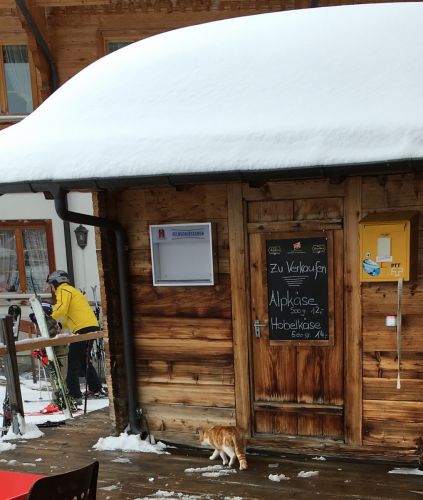 Zweisimmen, 24.2.2016
