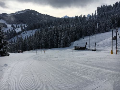 Selital, 26.2.1016
