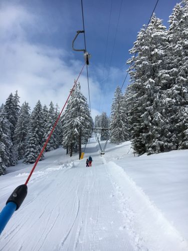 Selital, 26.2.1016
