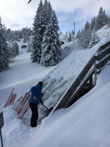 Selital, 26.2.1016
