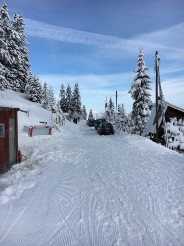 Selital, 26.2.1016
