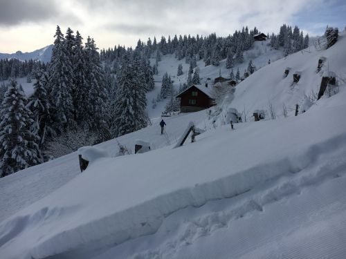 Selital, 26.2.1016
