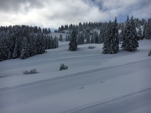 Selital, 26.2.1016
