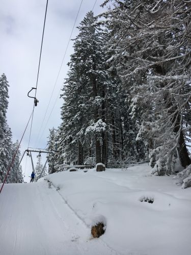 Selital, 26.2.1016
