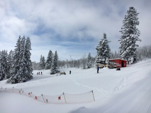 Selital, 26.2.1016
