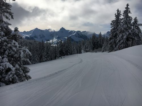Selital, 26.2.1016
