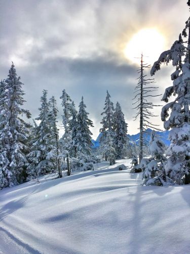 Selital, 26.2.1016
