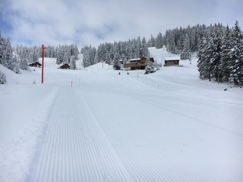 Selital, 26.2.1016
