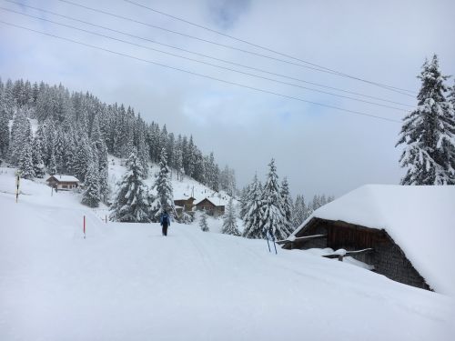 Selital, 26.2.1016
