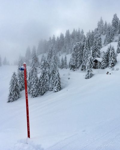 Selital, 26.2.1016

