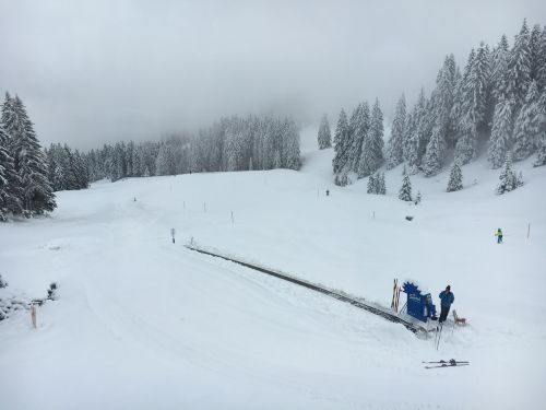 Selital, 26.2.1016
