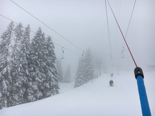 Selital, 26.2.1016
