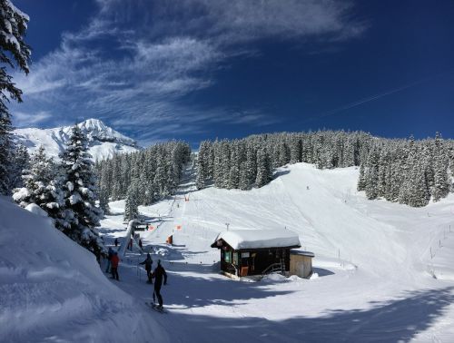 7. März 2016
