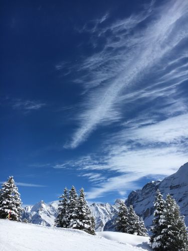 7. März 2016
