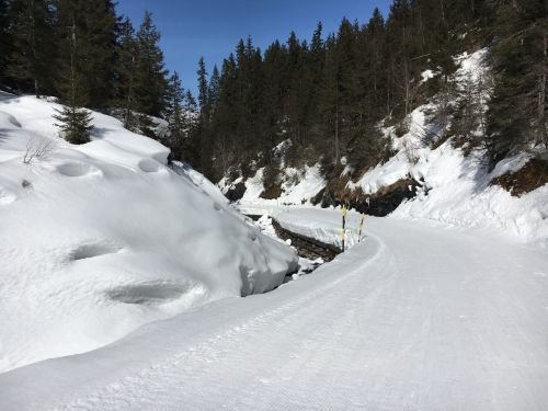 22. März 2016
