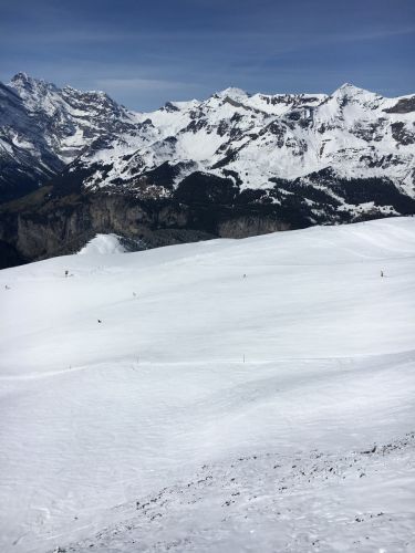 20160410-wengen-5594.jpg