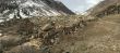 20160404-sedrun-5084.jpg