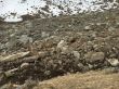 20160404-sedrun-5175.jpg