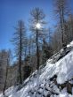 20160419-zermatt-5931.jpg
