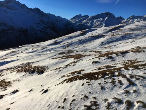 2. Januar 2017
