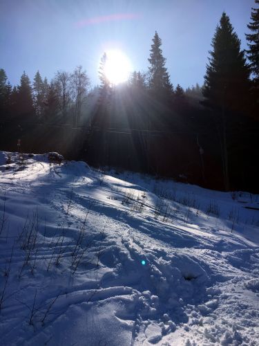 13. Februar 2017
