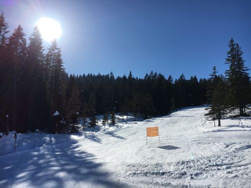 13. Februar 2017
