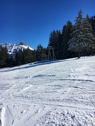 25. Februar 2017
