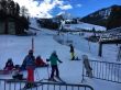 20170227-a-wiriehorn-1867.jpg