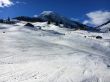 20170227-a-wiriehorn-1873.jpg