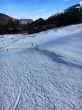 20170227-a-wiriehorn-1886.jpg