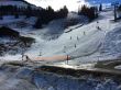 20170227-a-wiriehorn-1887.jpg