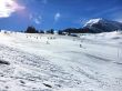 20170227-a-wiriehorn-1895.jpg