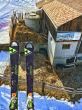 20170227-a-wiriehorn-1912.jpg