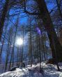 20170310-saasfee-2450.jpg
