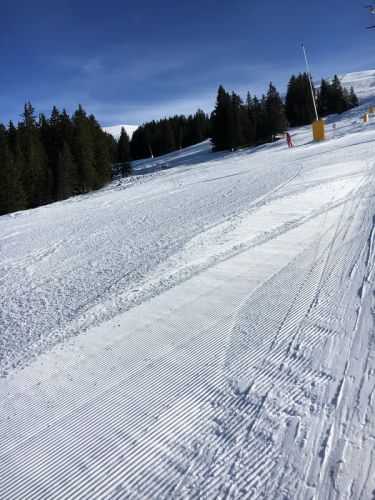 20171123-elsigenalp-6261.jpg