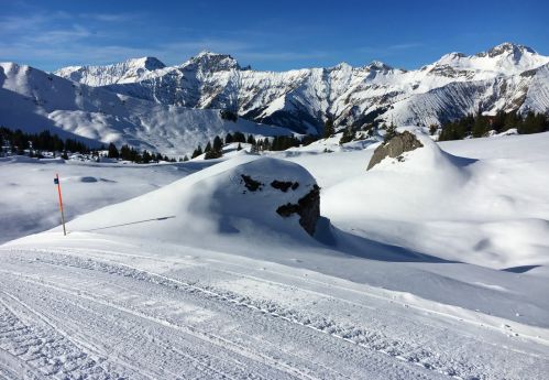 20171123-elsigenalp-6285.jpg