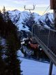 20171123-elsigenalp-6327.jpg