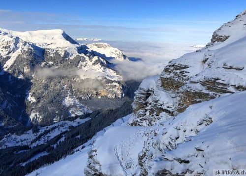 Klicken für Bild in voller Größe