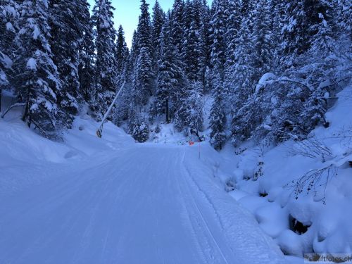 20171219-wengen-6920.jpg