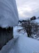 20180125-b-ftan-8886.jpg