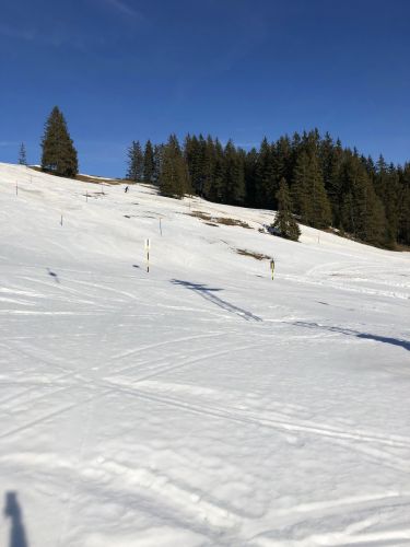 20180130-gurnigel-9121.jpg