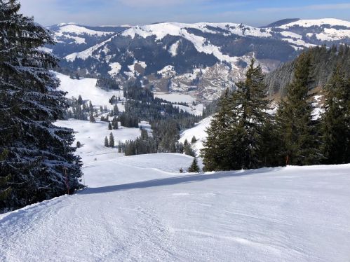 20180228-schwarzsee-1011.jpg