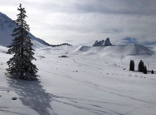 20180228-schwarzsee-1018.jpg