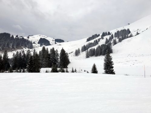 20180228-schwarzsee-1040.jpg
