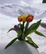Dateiname=20180408-sedrun-3072.jpg
Dateigröße=204KB
Abmessungen: 1045x1200
hinzugefügt am: 08. April 2018 20180408-sedrun-3072.jpg