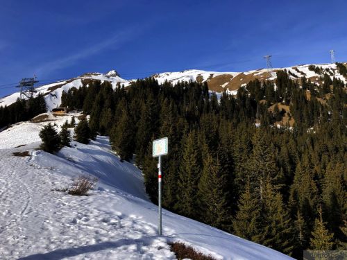20190226-sedrun-andermatt-2275.jpg